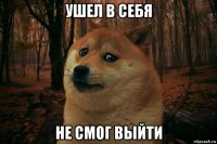 ушел в себя не смог выйти