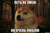 петь не умею но очень люблю