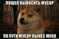 пошел выносить мусор по пути мусор вынес меня