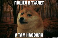 пошёл в туалет а там нассали