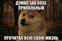 думал sad doge прикольный прочитал всю свою жизнь