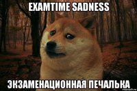 examtime sadness экзаменационная печалька