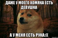 даже у моего хомяка есть девушка а у меня есть рука:((