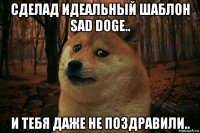 сделад идеальный шаблон sad doge.. и тебя даже не поздравили..