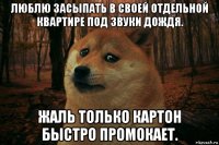 люблю засыпать в своей отдельной квартире под звуки дождя. жаль только картон быстро промокает.