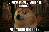 скоро 14 февраля а я незнаю что такое любовь