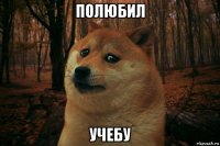 полюбил учебу