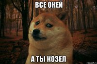 все окей а ты козел