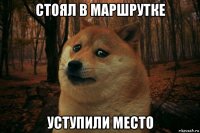 стоял в маршрутке уступили место