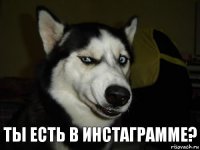 Ты есть в инстаграмме?