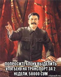  попросите алену выделить улугбеку на транспорт за 2 недели, 58000 сум