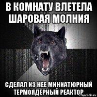 в комнату влетела шаровая молния сделал из нее миниатюрный термоядерный реактор