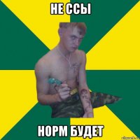 не ссы норм будет