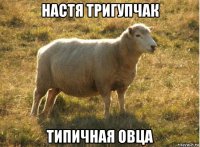 настя тригупчак типичная овца