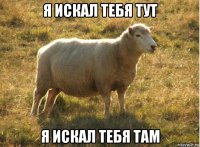 я искал тебя тут я искал тебя там