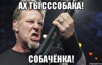 ах ты сссобака! собачёнка!