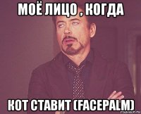 моё лицо , когда кот ставит (facepalm)