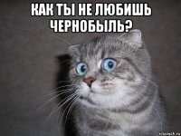 как ты не любишь чернобыль? 