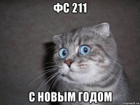 фс 211 с новым годом