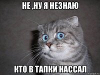 не ,ну я незнаю кто в тапки нассал