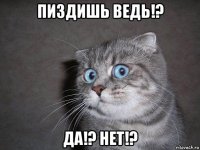 пиздишь ведь!? да!? нет!?