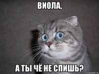 виола, а ты чё не спишь?