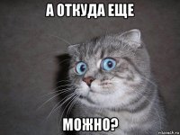 а откуда еще можно?