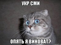 укр сми опять я виноват?