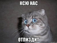 ксю нас отпиздит