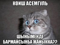 коиш асемгуль шыныменде бармайсынба жайыкка??