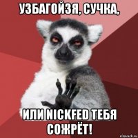 узбагойзя, сучка, или nickfed тебя сожрёт!