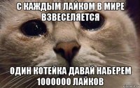 с каждым лайком в мире взвеселяется один котейка давай наберем 1000000 лайков