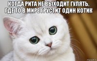 когда рита не выходит гулять, где то в мире грустит один котик 