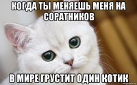 когда ты меняешь меня на соратников в мире грустит один котик