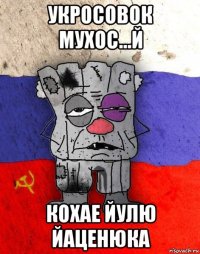 укросовок мухос...й кохае йулю йаценюка