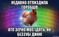 недавно отпиздила горобців ато зерно моє їдять, як беззубі диню