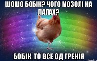 шошо бобік? чого мозолі на лапах? бобік, то все од тренія