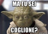 ma tu sei coglione?