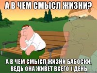 а в чем смысл жизни? а в чем смысл жизни бабоски, ведь она живет всего 1 день