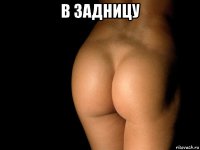 в задницу 