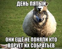 день пятый они ещё не поняли кто ворует их собратьев