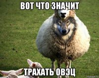 вот что значит трахать овэц