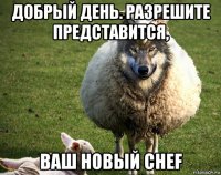 добрый день. разрешите представится, ваш новый chef