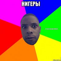 нигеры 