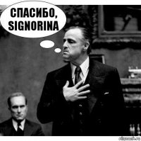 спасибо, signorina