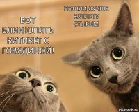 Вот блин!Опять
китикет с говядиной! Пошли лучше котлету стырим