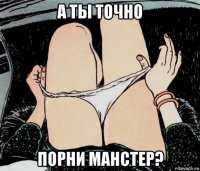 а ты точно порни манстер?