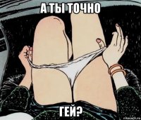 а ты точно гей?