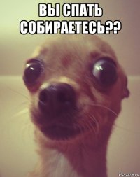 вы спать собираетесь?? 