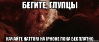 бегите, глупцы качайте hattori на iphone пока бесплатно